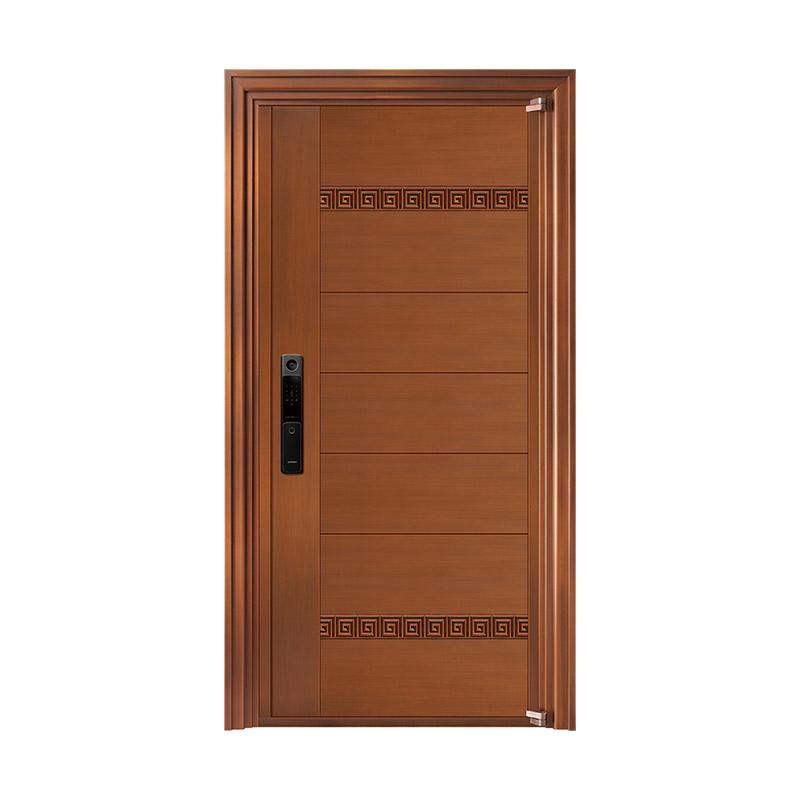 3D Pattern Surface Brass-finished Stainless Steel Single Leaf Door