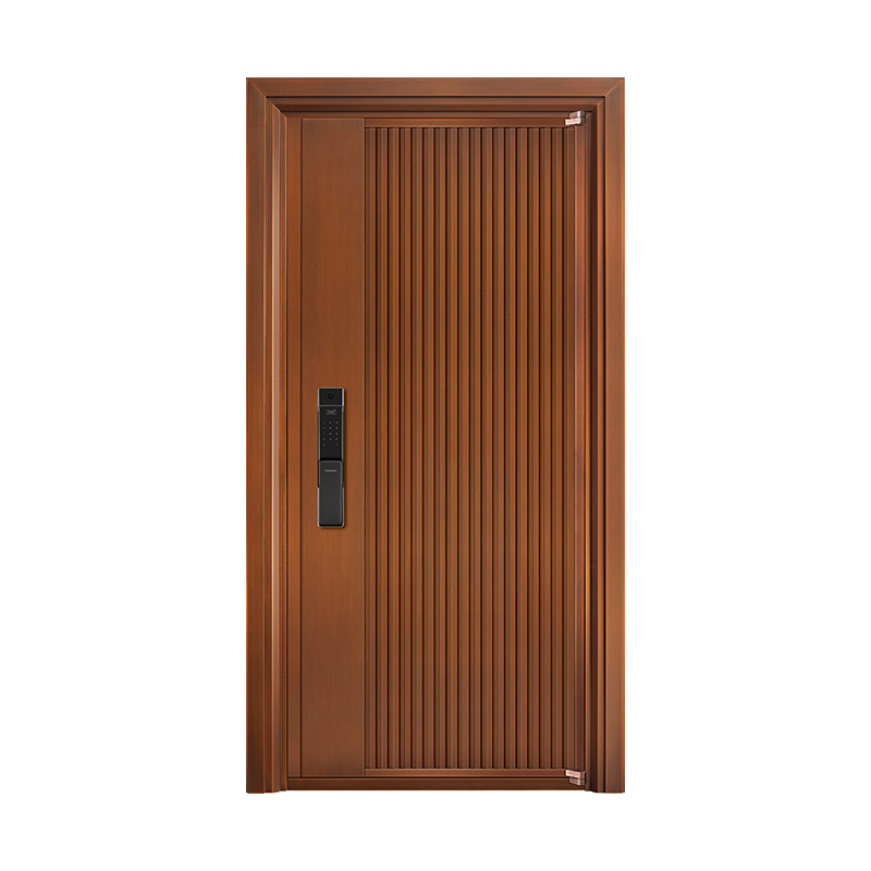3D Linear Decorative Surface Brass-finished Stainless Steel Single Leaf Door