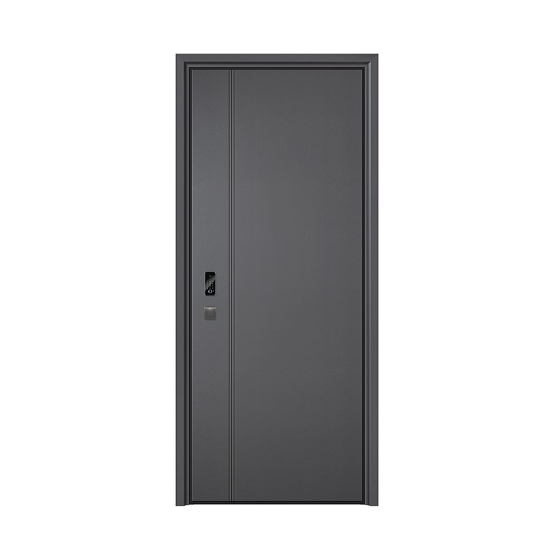 Minimalist Trio Line Single Leaf Door with Square Handle