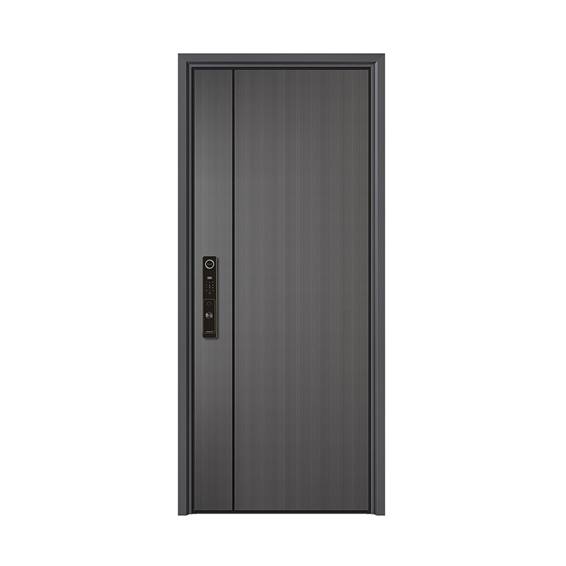 Minimalist Linear Textured Single Leaf Door