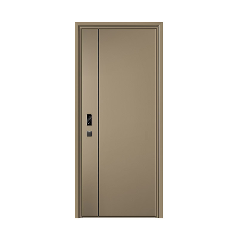 Simple Linear Single Leaf Door