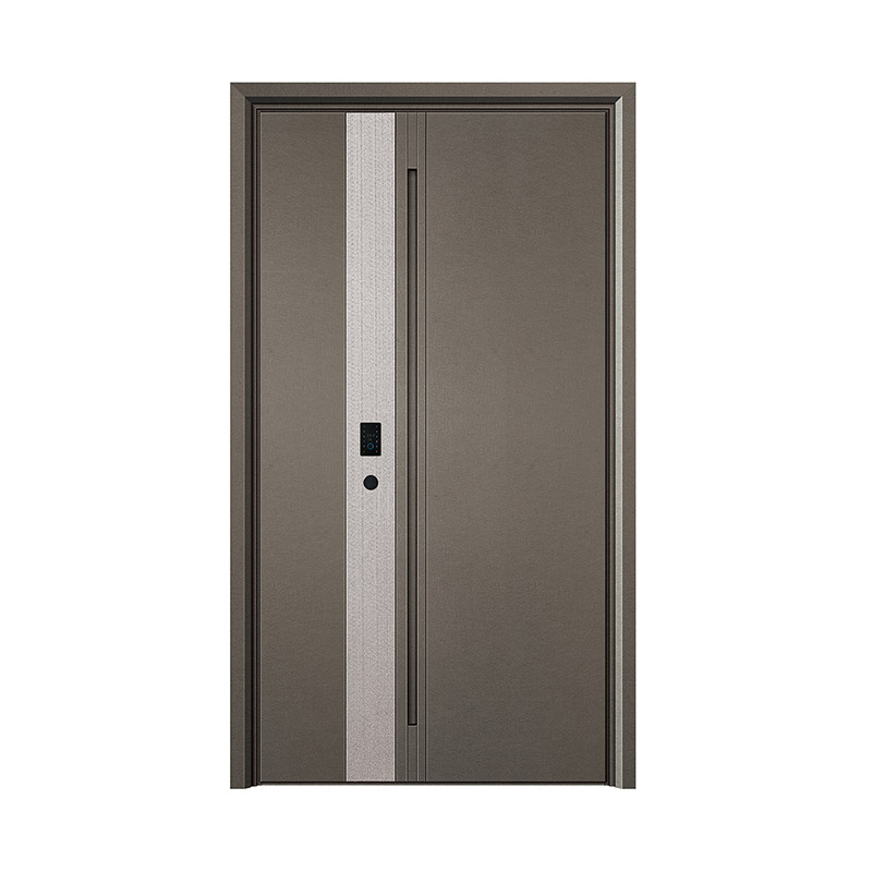 Minimalist Contrast Unequal Double Leaf Door with Hidden Handle