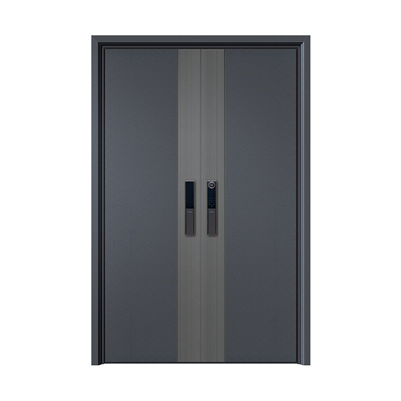 Simple Vertical Linear Textured Double Leaf Door