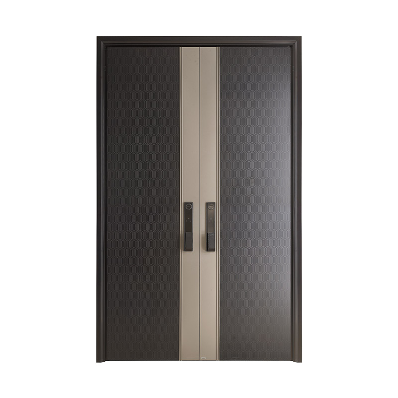 Geometric Etched Steel Double Leaf Door