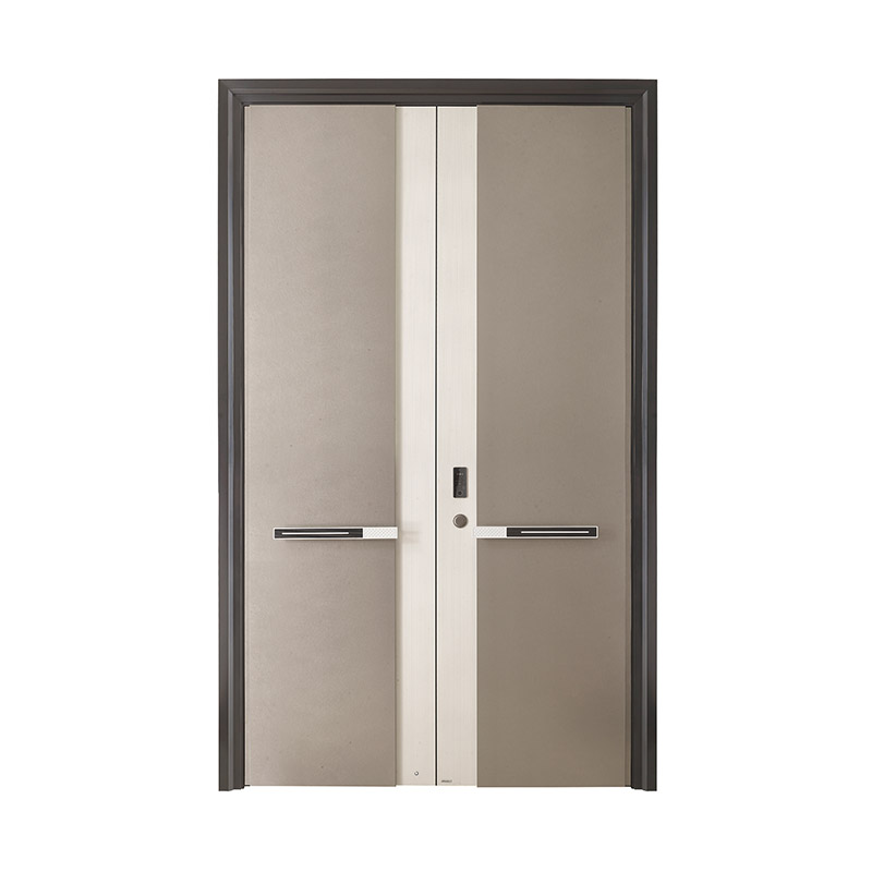 Elegant Contrast Double Leaf Door with light and Handle