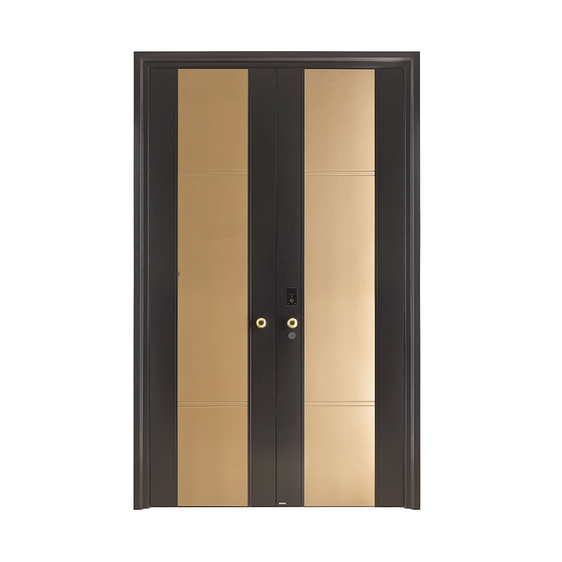 Contrast Elegant Black and Gold Double Leaf Door