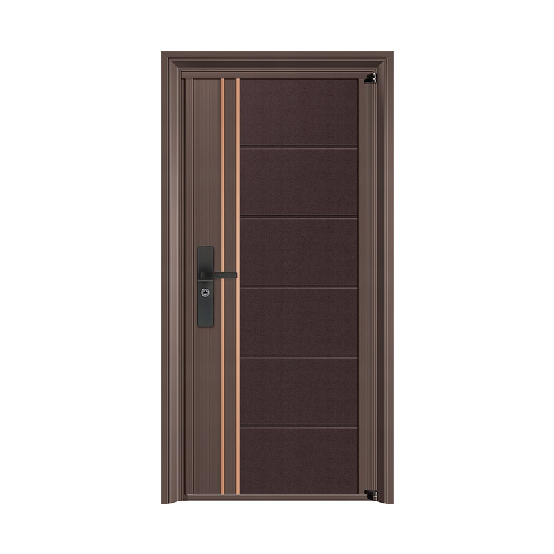 Metal Bar Decorative Contrast Panel Single Leaf Door