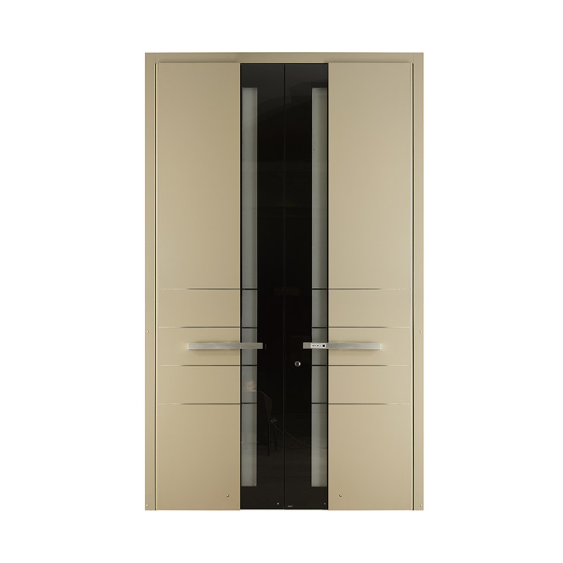 Minimalist Glazed Aluminum Panel Double Leaf Door