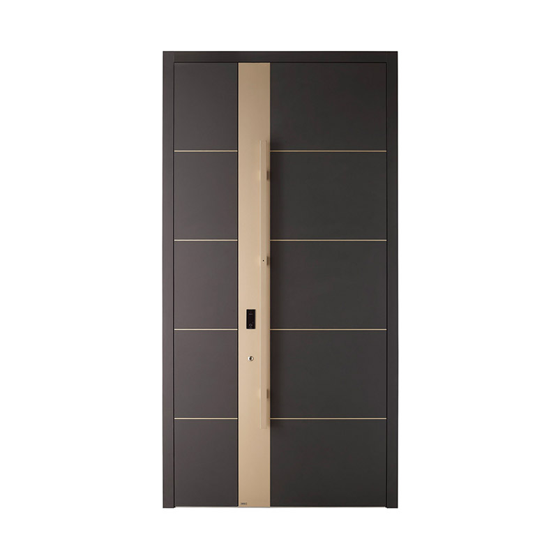 Modern Uneven Double Leaf Door