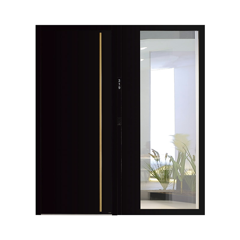 Long Handle Glazed Single Leaf Door